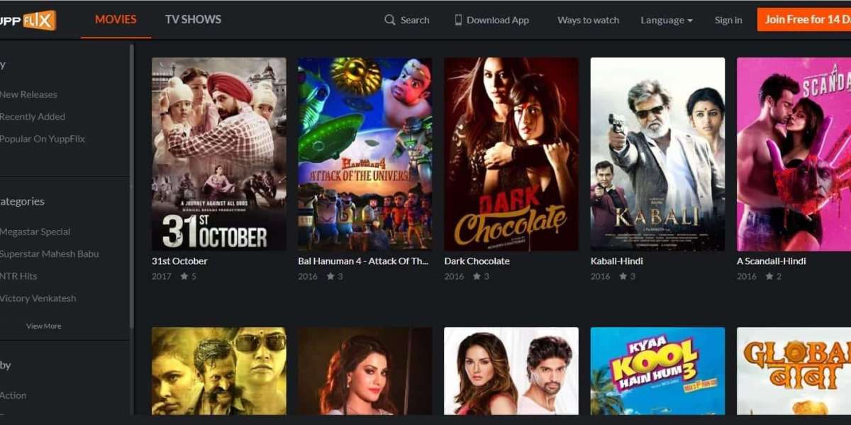 FlixMet Review: Options, Features, and User Experience