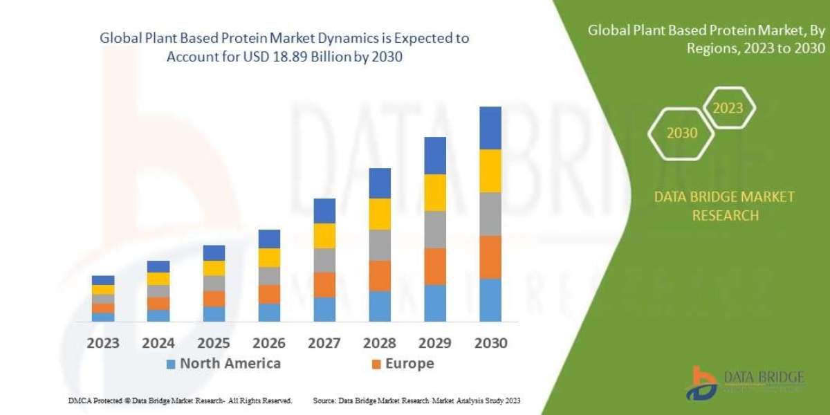 What Is the Future of the Plant Based Protein Market ? Size, Demand, Opportunities, and Key Players (2025 – 2032)